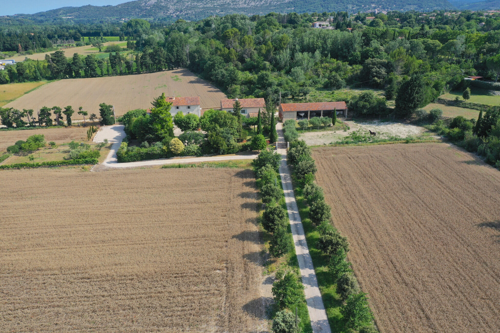 Maison De Luxe Vendre Aubignan M