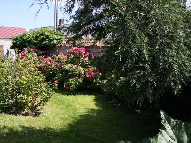 Property Abbeville - 14000m²