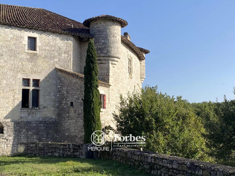 Castle Agen - 4 bedrooms - 1000m²