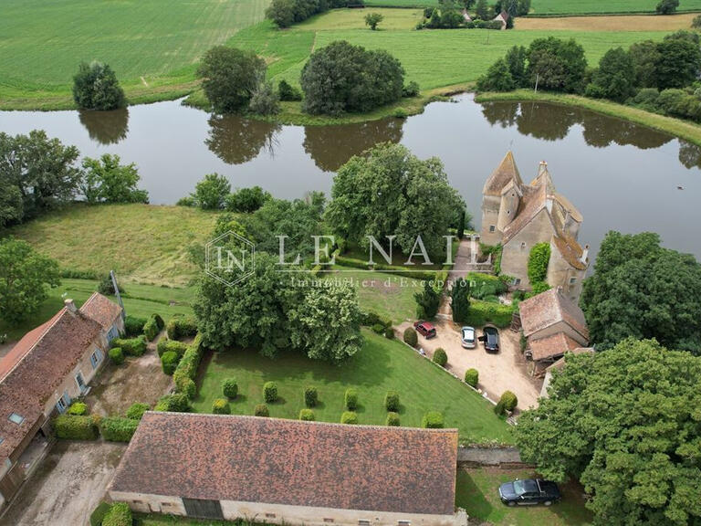 Sale Castle Ainay-le-Château - 4 bedrooms