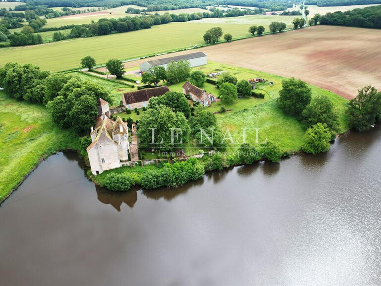 Castle Ainay-le-Château - 4 bedrooms - 240m²