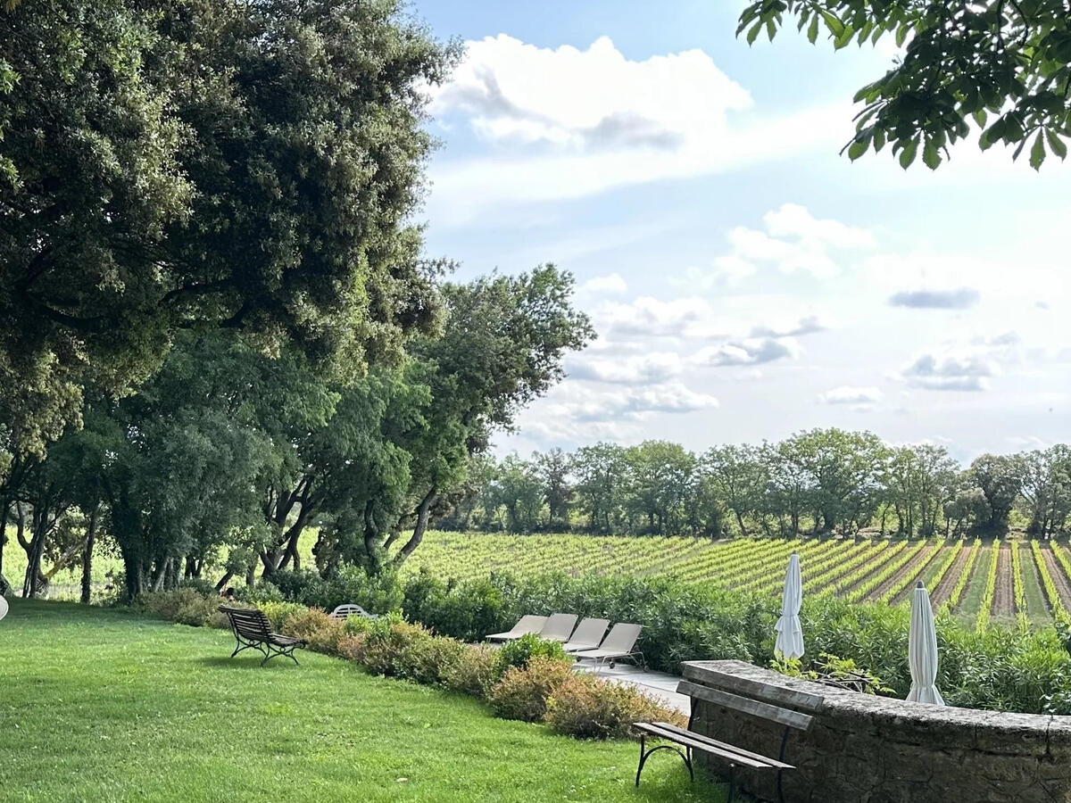 Vineyard Aix-en-Provence