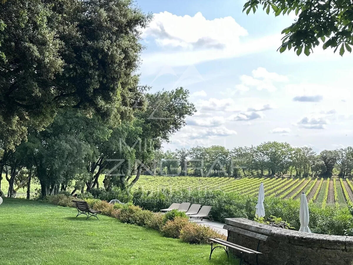 Vineyard Aix-en-Provence