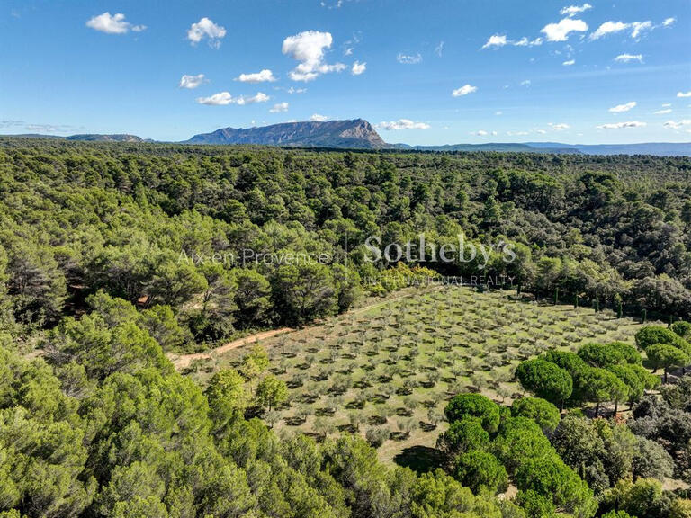 Maison Aix-en-Provence - 7 chambres - 500m²