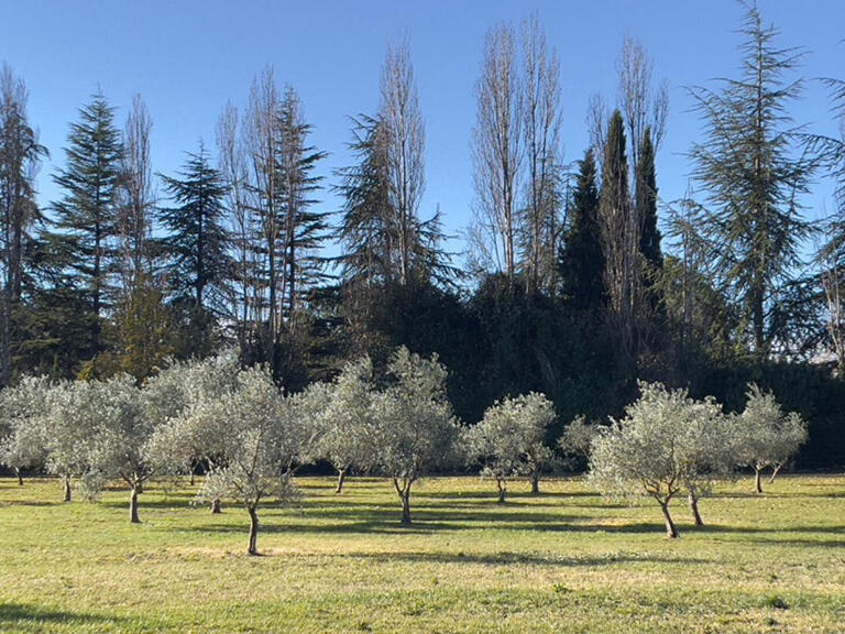 Vente Propriété Aix-en-Provence - 4 chambres