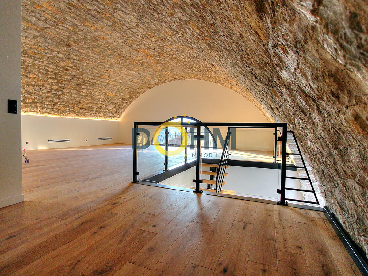 Loft Aix-les-Bains