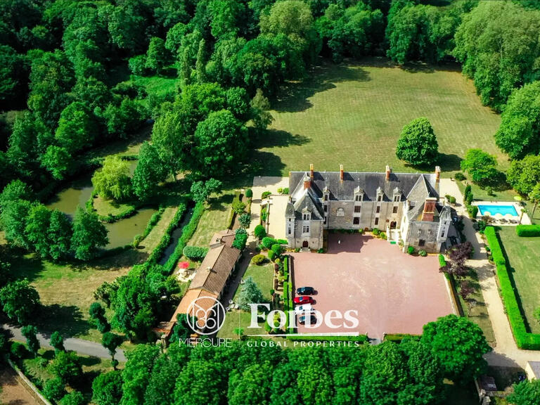 Château Aizenay - 22 chambres - 800m²