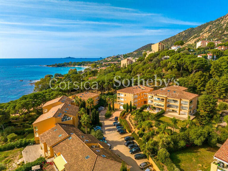 Apartment Ajaccio - 3 bedrooms - 119m²