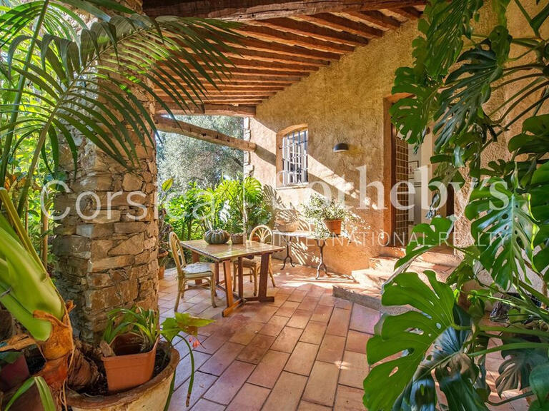 House Ajaccio - 4 bedrooms - 250m²