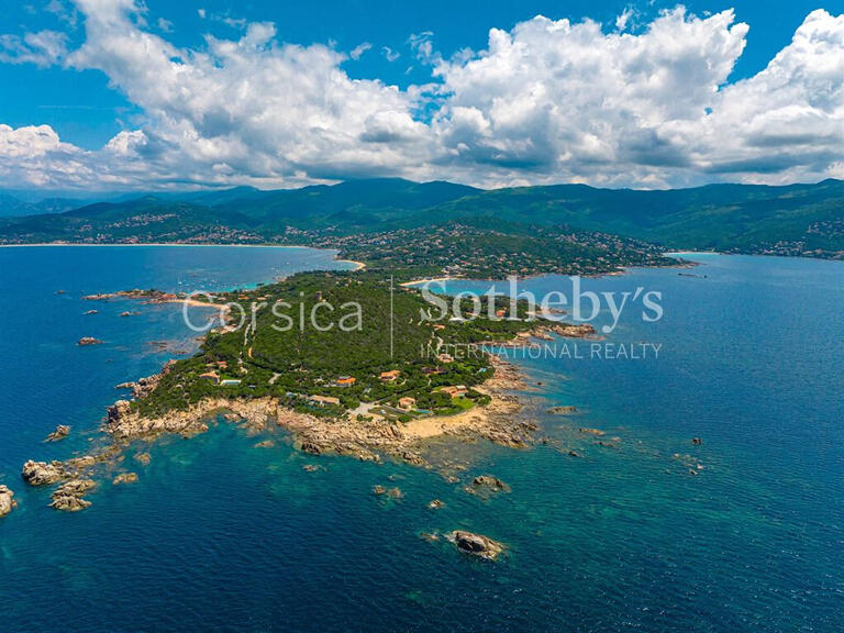 House Ajaccio - 5 bedrooms - 250m²