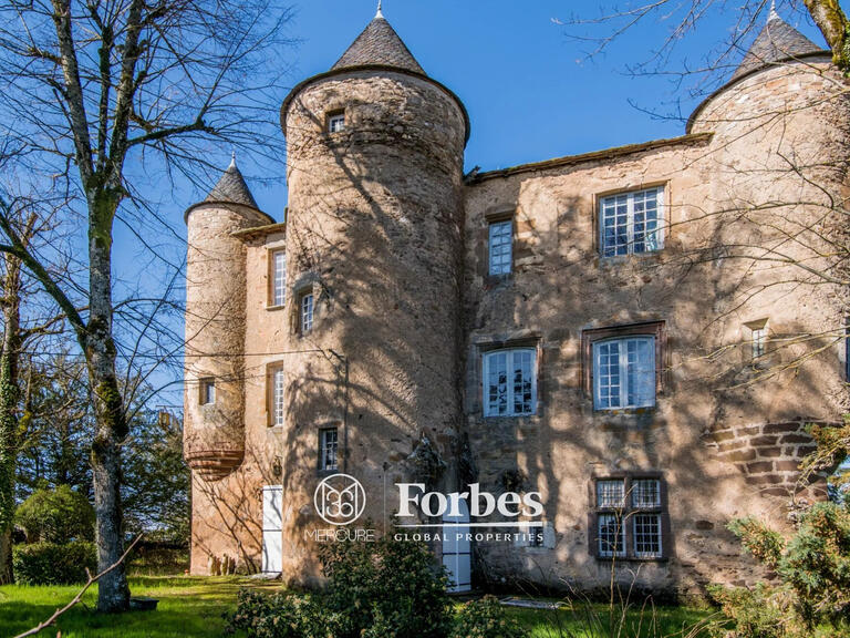 Château Albi - 5 chambres - 700m²