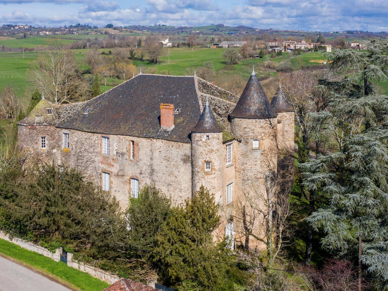 Château Albi - 5 chambres - 700m²