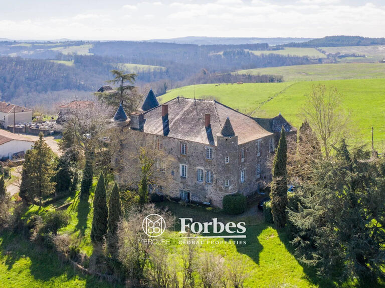 Château Albi - 5 chambres - 700m²