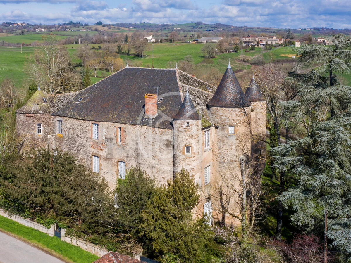 Castle Albi