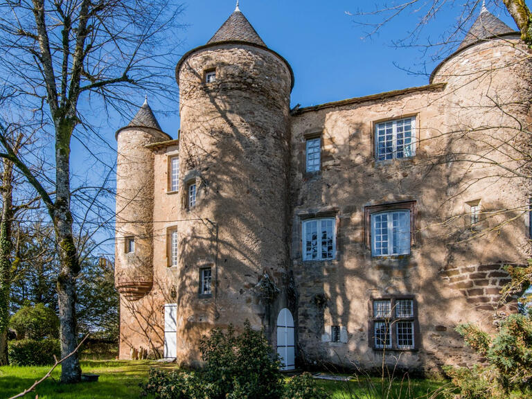 Château Albi - 5 chambres - 700m²