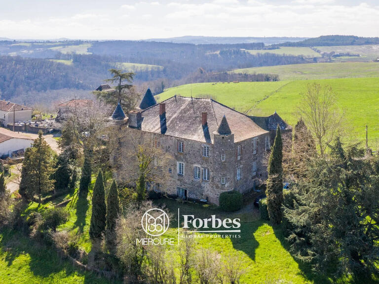 Château Albi - 5 chambres - 700m²