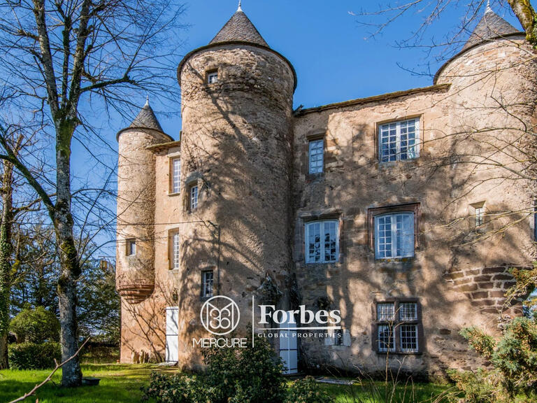 Château Albi - 5 chambres - 700m²