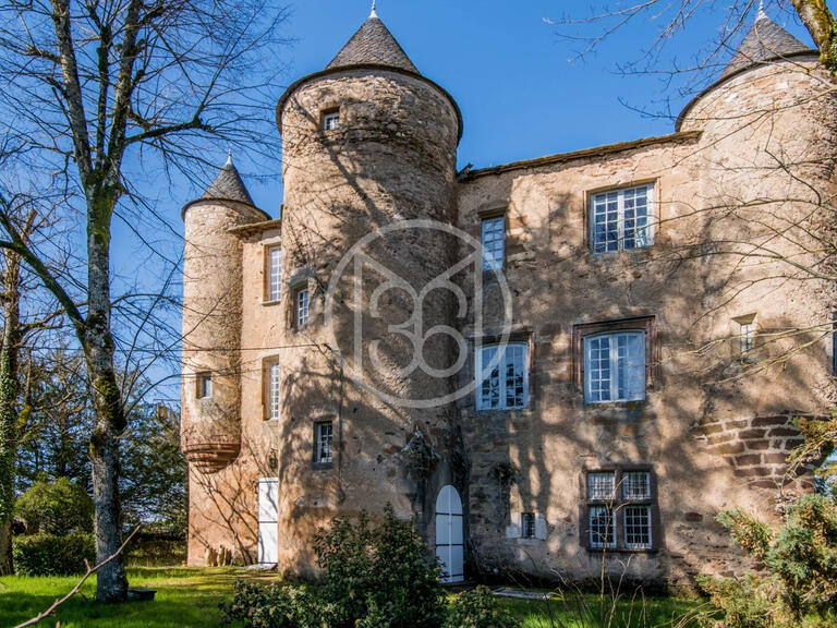 Castle Albi - 5 bedrooms - 700m²