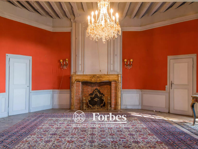 Château Albi - 5 chambres - 700m²