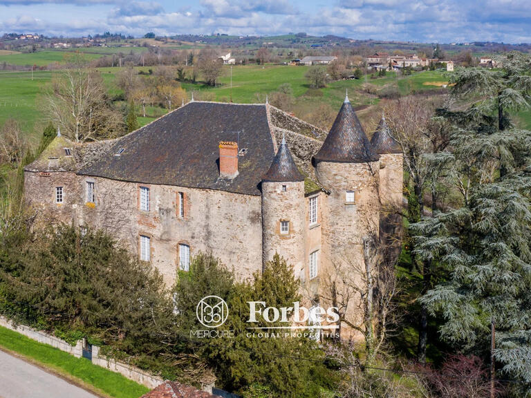 Château Albi - 5 chambres - 700m²