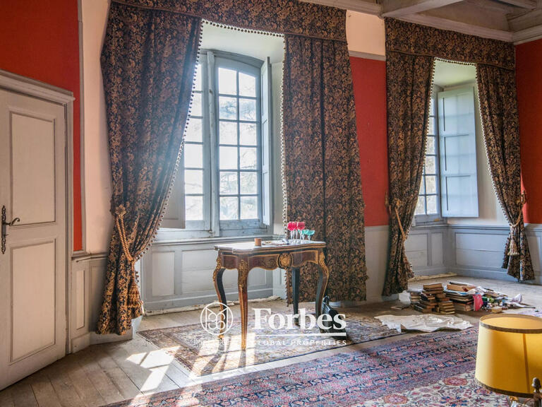 Château Albi - 5 chambres - 700m²