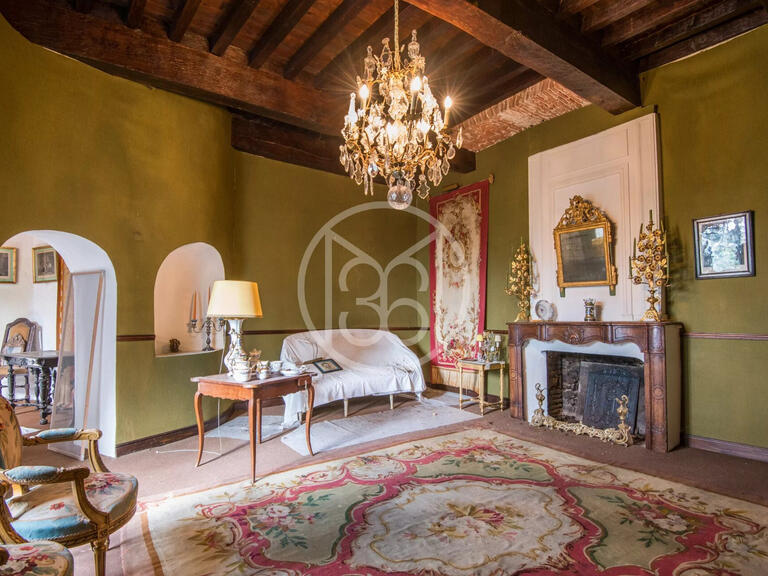 Castle Albi - 5 bedrooms - 700m²