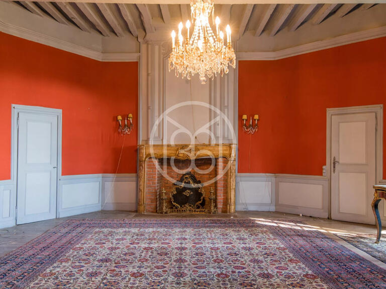 Castle Albi - 5 bedrooms - 700m²