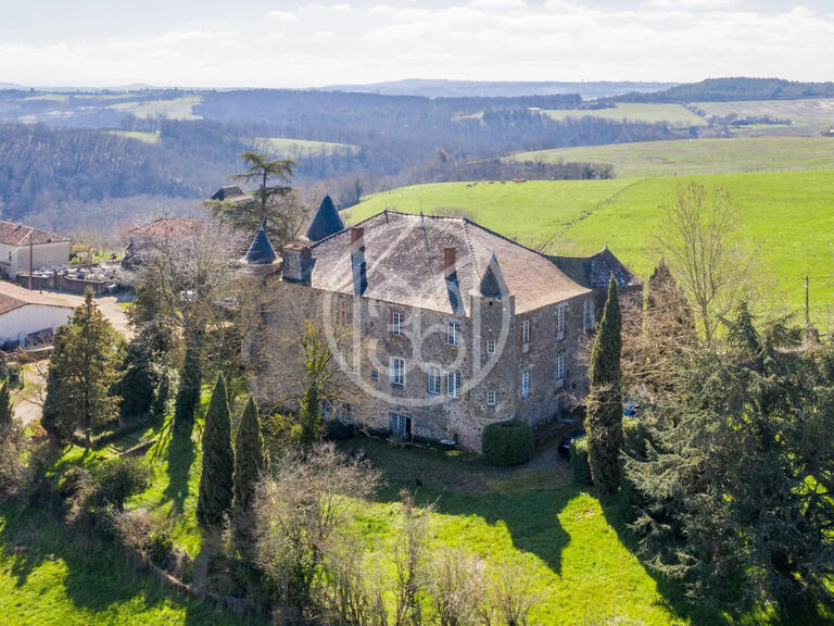 Castle Albi - 5 bedrooms - 700m²