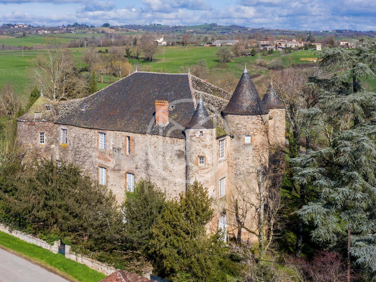 Castle Albi - 5 bedrooms - 700m²