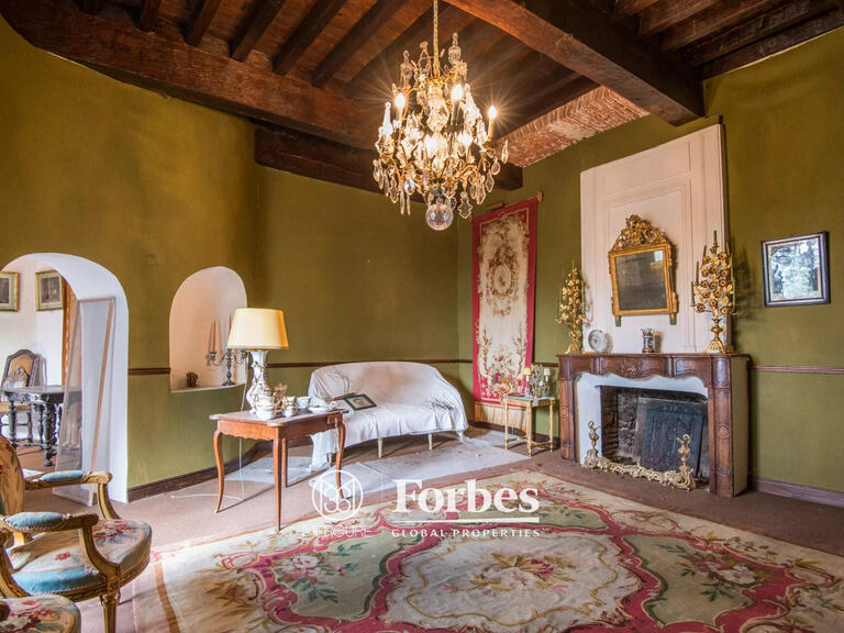 Château Albi - 5 chambres - 700m²