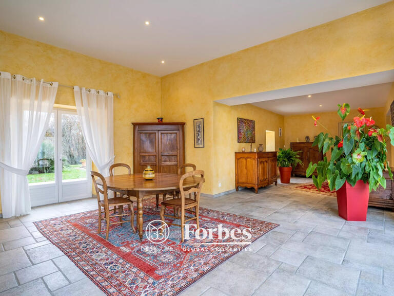 Propriété Albi - 5 chambres - 365m²