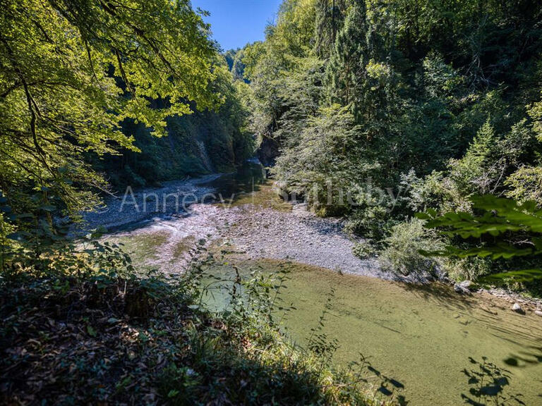 House Alby-sur-Chéran - 5 bedrooms - 380m²