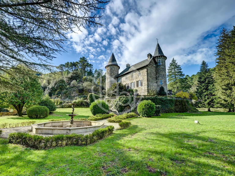 Vente Château Alès - 10 chambres