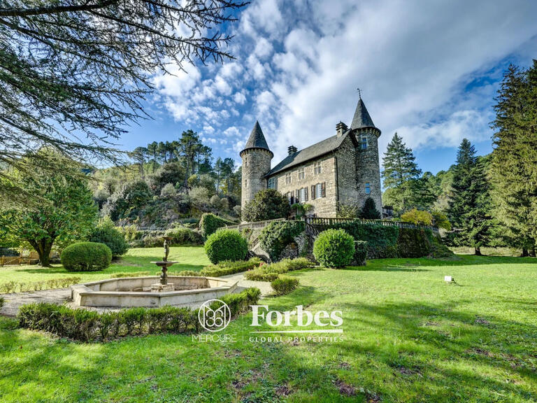 Castle Alès - 10 bedrooms - 700m²