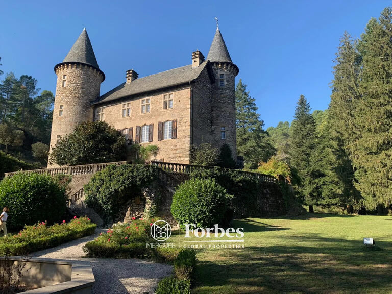 Castle Alès - 10 bedrooms - 700m²