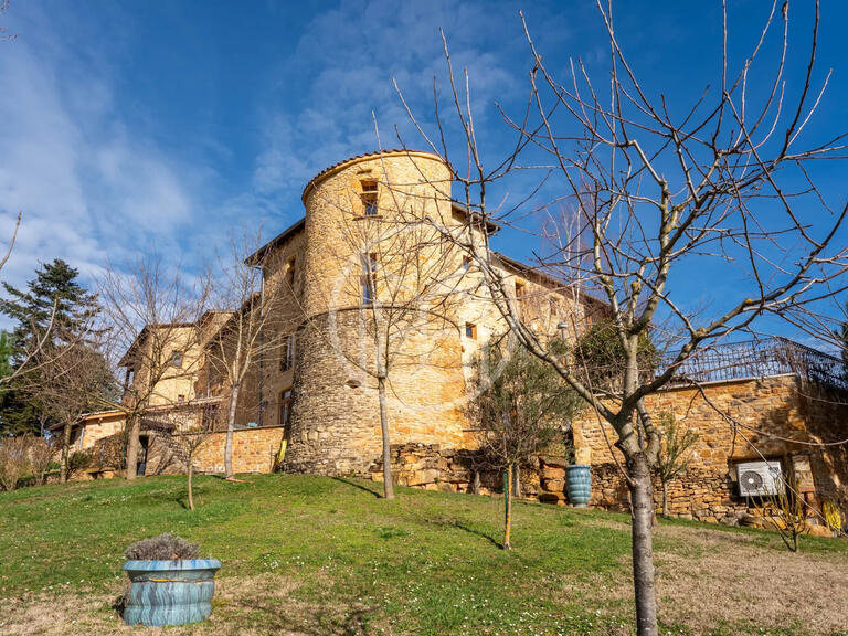 Vente Château Alix - 6 chambres