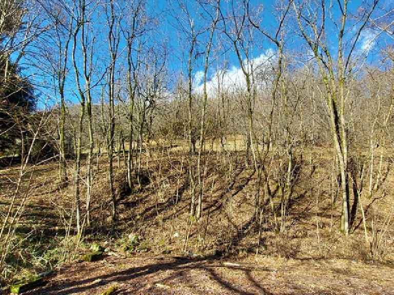 Land Allemond - 5250m²