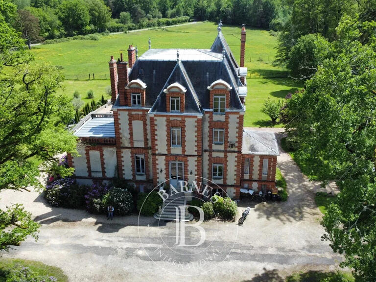 Castle Allogny - 7 bedrooms - 423m²