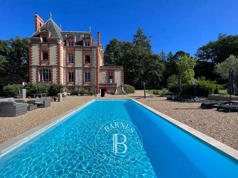 Castle Allogny - 7 bedrooms - 423m²