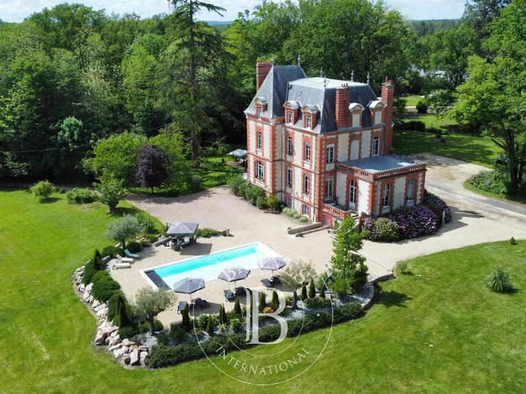 Castle Allogny - 7 bedrooms - 423m²