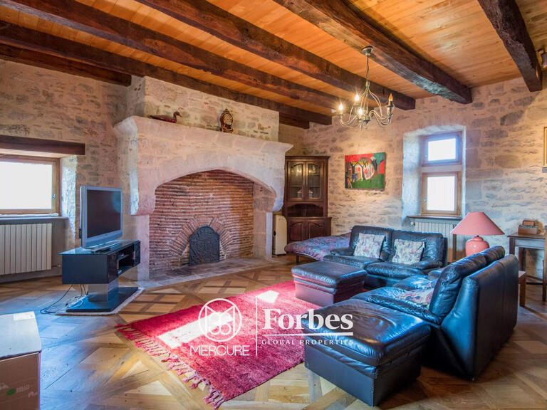 Castle Ambeyrac - 5 bedrooms - 370m²