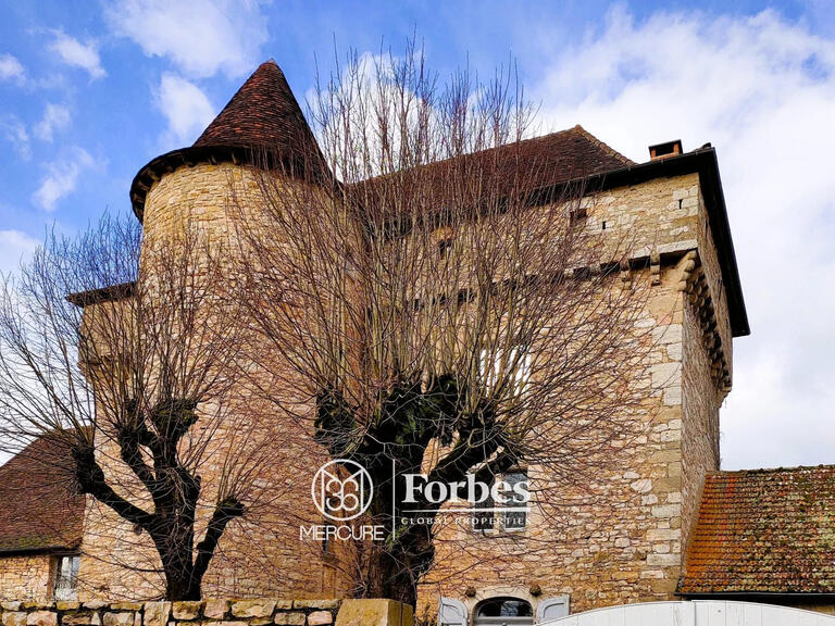 Castle Ambeyrac - 5 bedrooms - 370m²