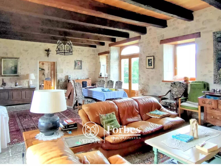 Castle Ambeyrac - 5 bedrooms - 370m²