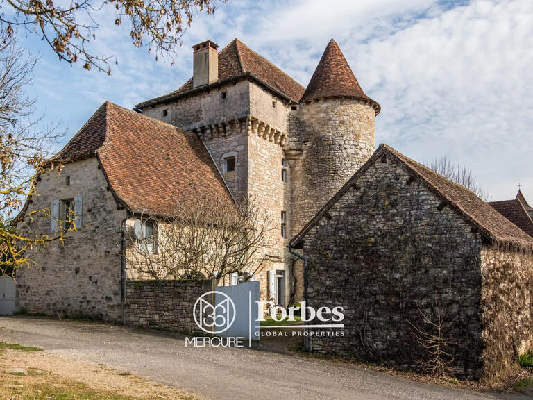 Château Ambeyrac - 5 chambres - 370m²