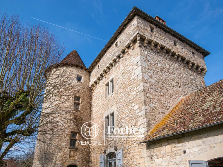 Château Ambeyrac - 5 chambres - 370m²