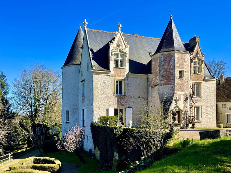 Castle Amboise - 6 bedrooms - 480m²