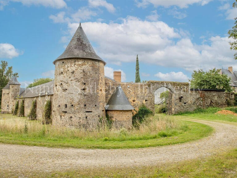 Vente Château Angers - 14 chambres