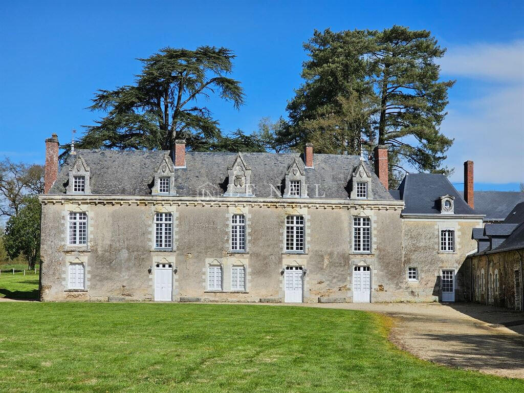 Castle Angers