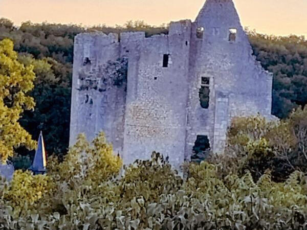 Propriété Angles-sur-l'Anglin