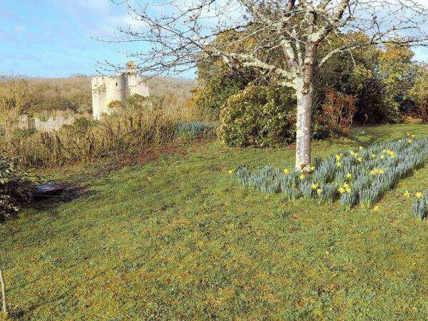 Propriété Angles-sur-l'Anglin